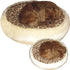 Cloud 9 Round Custom Dog Bed