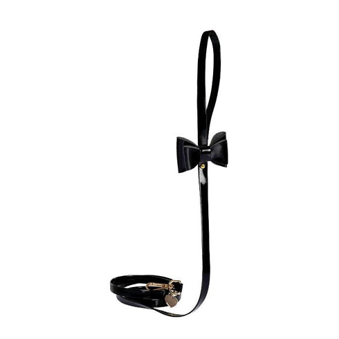 Coal Black Dog Leash