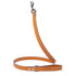 Cobalt Dog Leash