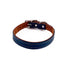 Colima Classic Combo Leather Dog Collar