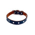Colima Classic Combo Studded Leather Dog Collar