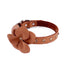 Colima Classic Rhinestone Leather Dog Flowerette Slider Hazelnut