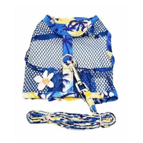 Cool Mesh Dog Harness And Leash Catching Waves