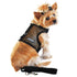 Cool Mesh Dog Harness And Leash Solid Black