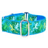 Coqui Surf Dog Collar