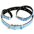 Customizable Charm Leather Dog Collar Aqua