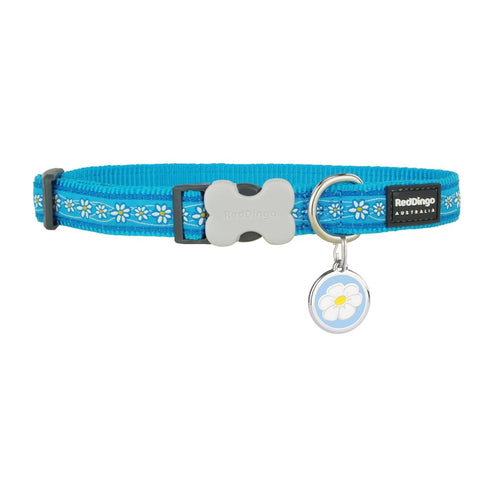 Daisy Chain Turquoise Dog Collar/Tag Set