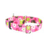 Daisy Dot EarthStyle Dog Collar