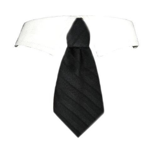 David Dog Shirt Collar
