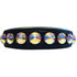 Delight Dog Collar #2