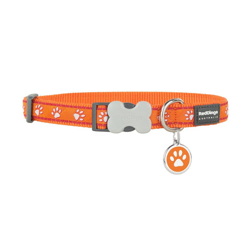 Desert Paws Orange Dog Collar/Tag Set