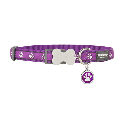 Desert Paws Purple Dog Collar/Glitter Tag Set