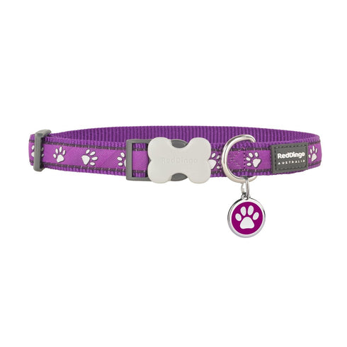 Desert Paws Purple Dog Collar/Tag Set