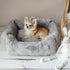 Divine Dog Bed Dove Grey