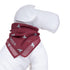 Dog Bandana Wine Red Cloud