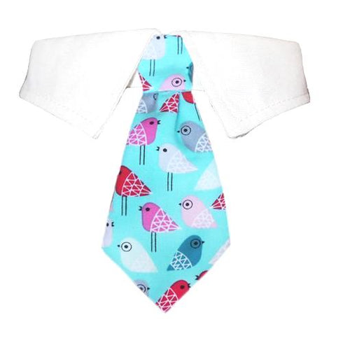 Dominic Dog Shirt Collar