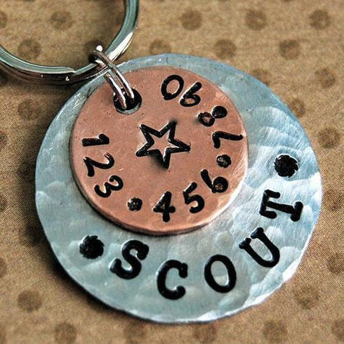 Double Disc Dog ID Tag