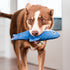 Durables Steve The Shark Dog Toy