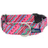 1980's EarthStyle Dog Collar