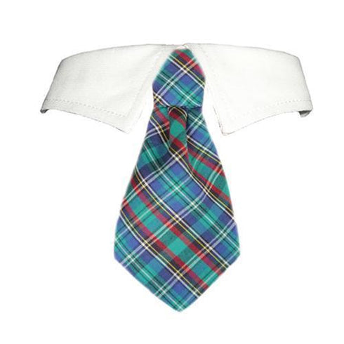 Eli Dog Shirt Collar