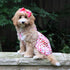 Emma Pink And Red Flower Dog Dress