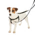 Falling Leaves EarthStyle Freedom No-Pull Dog Harness