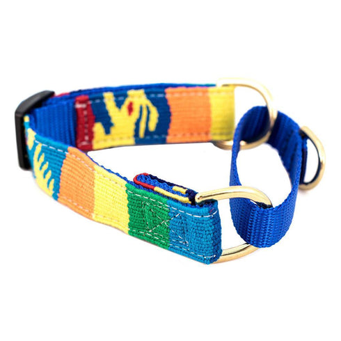 Fiesta Martingale Dog Collar