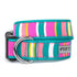 Fiesta Stripe Dog Collar