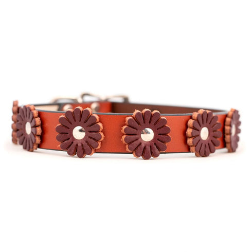 Flower Dog Collar Tan/Burgundy