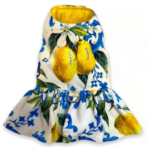 For Love Of Lemons Dog Dress