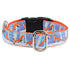 Frolicking Fox Essential 1" Dog Collar