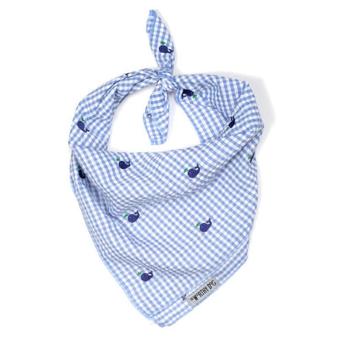 Gingham Whales Dog Bandana