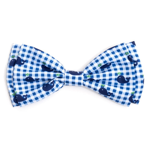 Gingham Whales Dog Bow Tie