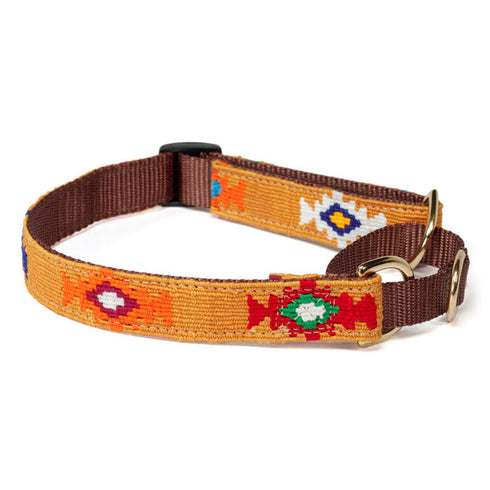 God's Eye Gold Martingale Dog Collar
