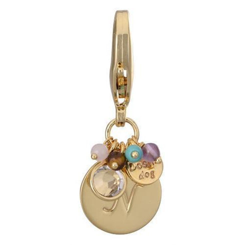 Gold Initial N Dog Collar Charm