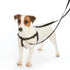 Gothic Hearts EarthStyle Freedom No-Pull Dog Harness