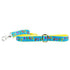 Grateful Dog Teddy The Dog Essential 1" Dog Collar