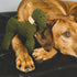 Green And Faustina Dog Toy