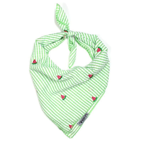 Green Stripe Watermelon Dog Bandana