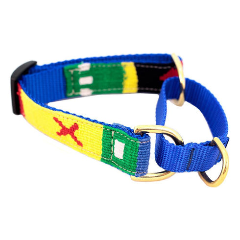 Harborside Daybreak Martingale Dog Collar