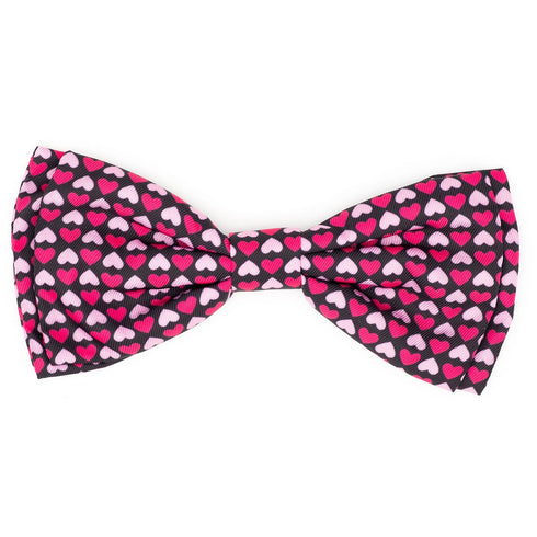 Heartthrob Dog Bow Tie