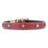 Heirloom Old Glory Dog Collar