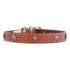 Heirloom Old Glory Dog Collar