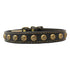 Heirloom Star Dog Collar