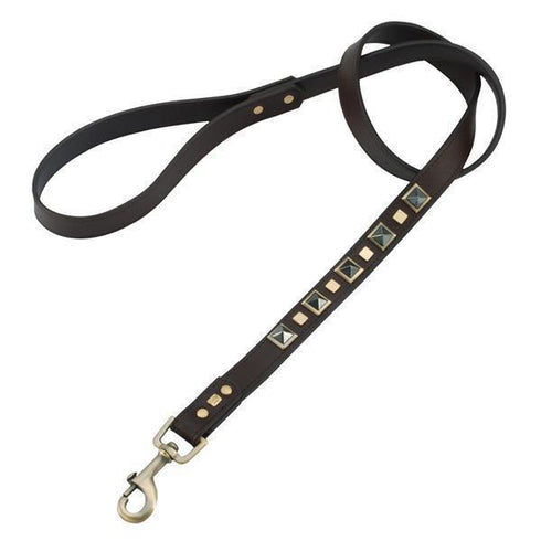 Hematite Rock And Roll Dog Leash
