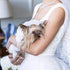 Here Comes The Bride Wedding Dog Dress