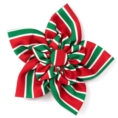Holiday Stripe Dog Collar Flower