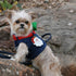 Hollywood Denim Dog Harness Vest With Silk Tie