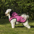 Hoodie Harness Dog Coat Pink Medium
