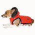 Hoodie Harness Dog Coat Red Medium